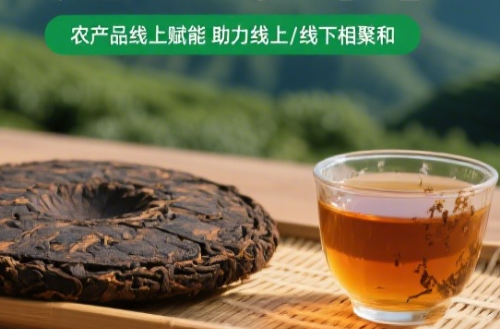 贵州黑茶
